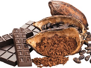 Lịch sử cổ xưa của chocolate, quà tặng của các vị thần