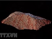 Phát hiện bản vẽ cổ xưa nhất của nhân loại tại Nam Phi