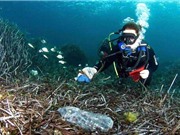 99,99% rác nhựa trên biển hóa ra nằm sâu dưới đại dương mà con người không hề biết