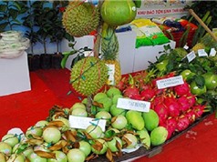 Đi tìm ưu thế cạnh tranh của nông sản Việt