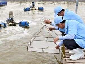 Khai trương Điểm kết nối cung cầu công nghệ Cần Thơ