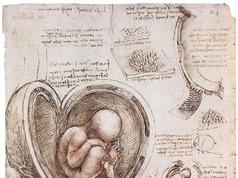 Chân dung Leonardo da Vinci của Walter Isaacson