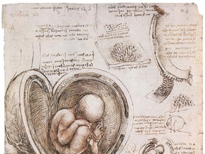 Chân dung Leonardo da Vinci của Walter Isaacson