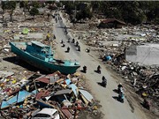 Động đất và sóng thần tại Indonesia khiến hơn 1.300 người chết và nhiều người mất tích 