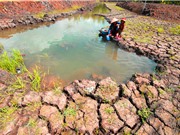 Thủy điện có thể giết chết sông Mekong