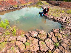 Thủy điện có thể giết chết sông Mekong