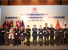 Thúc đẩy thương mại về nông, lâm, thủy sản giữa các nước ASEAN+3