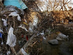 Rác thải nhựa của Mỹ đi đâu sau lệnh cấm của Trung Quốc?