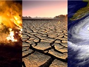 Báo cáo mới nhất về biến đổi khí hậu: nhiều tin xấu