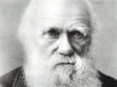 9 lý do chứng minh thuyết tiến hóa của Darwin sai