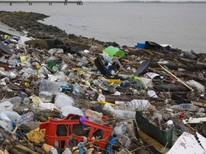 Nghị viện Châu Âu đề xuất cấm hoàn toàn đồ nhựa dùng một lần vào năm 2021
