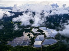 Chính sách năng lượng Nhật Bản: Xác định cấu trúc điện năng tương lai