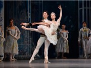 Lịch sử ra đời của múa Ballet