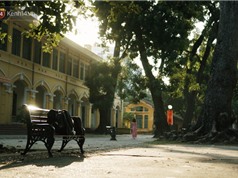 Ngôi trường lâu đời nhất Hà Nội - 110 năm qua vẫn vẹn nguyên vẻ đẹp yên bình, rêu phong và thách thức thời gian