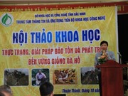Bắc Ninh: Thực trạng, giải pháp bảo tồn và phát triển bền vững giống gà Hồ