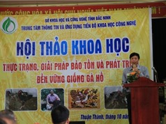 Bắc Ninh: Thực trạng, giải pháp bảo tồn và phát triển bền vững giống gà Hồ