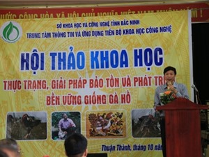 Bắc Ninh: Thực trạng, giải pháp bảo tồn và phát triển bền vững giống gà Hồ