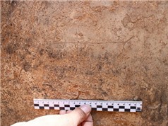 Các nhà khảo cổ Israel phát hiện nhiều hình chạm khắc 2.000 năm tuổi