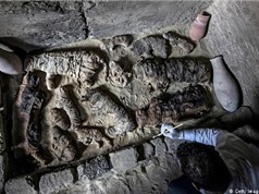 Phát hiện nhiều xác ướp mèo, bọ hung trong mộ cổ Ai Cập nghìn năm tuổi