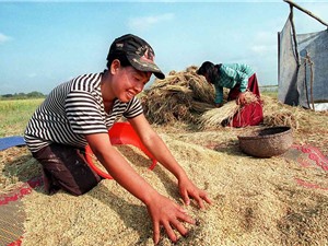 Campuchia thí điểm dùng Blockchain giúp nông dân tiêu thụ sản phẩm
