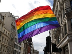 Scotland đưa nội dung LGBT vào chương trình giáo dục