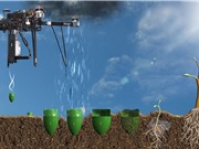 Startup phát triển drone để trồng lại rừng sau đám cháy 