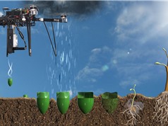 Startup phát triển drone để trồng lại rừng sau đám cháy 