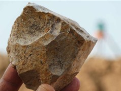 Phát hiện công cụ bằng đá niên đại 2,4 triệu năm tuổi có thể viết lại lịch sử loài người