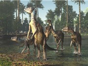 Khám phá ra loài khủng long mới tại Australia