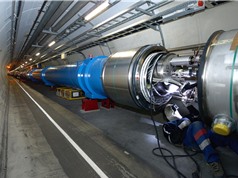 Máy gia tốc hạt lớn nhất thế giới tạm dừng hoạt động trong hai năm