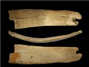 Phát hiện vương miện kì lạ 50.000 năm tuổi ở Siberia