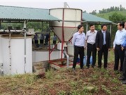 Hà Tĩnh: Ứng dụng tiến bộ KH&CN xây dựng mô hình xử lý môi trường chuồng trại chăn nuôi lợn công nghiệp
