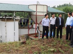 Hà Tĩnh: Ứng dụng tiến bộ KH&CN xây dựng mô hình xử lý môi trường chuồng trại chăn nuôi lợn công nghiệp