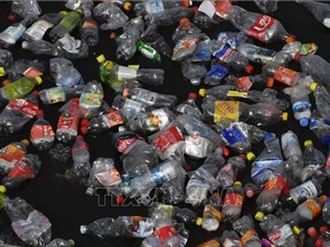 Châu Âu chính thức tẩy chay đồ nhựa dùng một lần