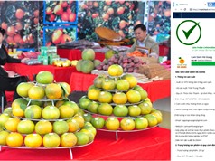 Dán tem truy xuất nguồn gốc: Bảo vệ thương hiệu Cam sành Hà Giang