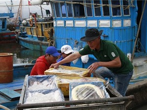 Chính sách phát triển thủy sản giúp nghề cá vươn khơi