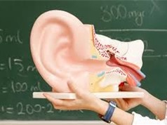 Phát hiện cơ chế giúp khôi phục thính lực cho người