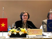 Việt Nam, EU phối hợp hoàn tất Hiệp định VPA/FLEGT