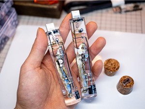Nhật Bản thứ gì cũng "dị": Lấy nguyên con cá làm USB, dùng não cá để lưu dữ liệu Nhật Bản thứ gì cũng "dị": Lấy nguyên con cá làm USB, dùng não cá để lưu dữ liệu
