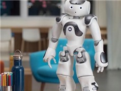 Nhật Bản thử nghiệm đầu tiên robot hỗ trợ người dân ở tòa thị chính
