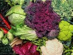 Cải xoăn và bông cải giúp ngăn ngừa ung thư đại tràng