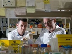 Australia: Phát triển công nghệ rút ngắn thời gian điều chế vắcxin