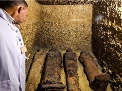 Ai Cập phát hiện khu mộ cổ lớn từ thời vương triều Ptolemy