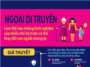 [Infographic] Ngoại di truyền Epigenetics - chúng ta không chỉ di truyền từ gene