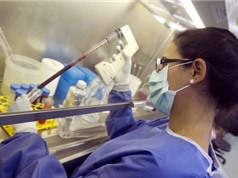 Italy thử nghiệm thành công vắcxin để điều trị HIV/AIDS