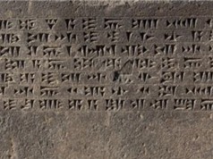 Bảng chữ cái và các ngôn ngữ viết cổ xưa nhất thế giới đã được hình thành từ khi nào?