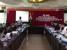Thừa Thiên Huế: Ứng dụng KH&CN xây dựng mô hình sản xuất lúa chất lượng cao và ớt đạt tiêu chuẩn VietGAP tại huyện Phú Vang