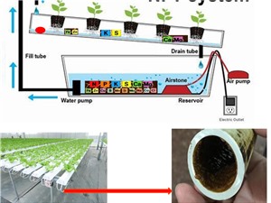 Xử lý cặn bẩn trong trồng rau thủy canh bằng điện từ trường