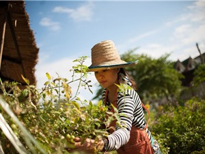 Khởi nghiệp từ tài nguyên bản địa: Chúng tôi vẫn ổn, còn bạn thì sao?