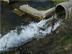 Ô nhiễm thuốc ở các con sông gây hại cho động vật và hệ sinh thái